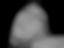 Member Image