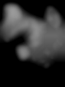Member Image