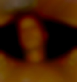 Member Image