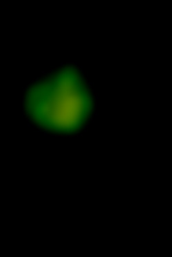 Member Image