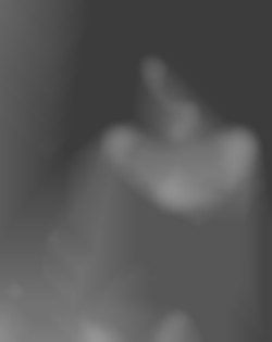 Member Image