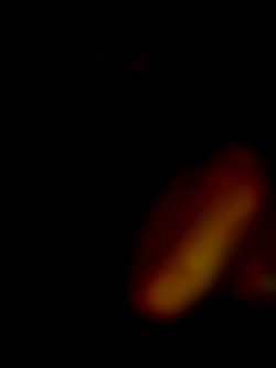 Member Image