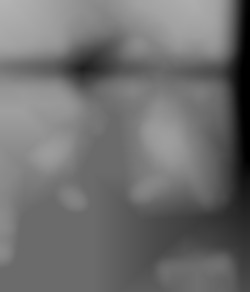 Member Image