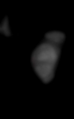 Member Image