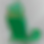 Member Image