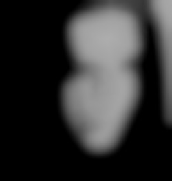 Member Image