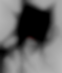 Member Image