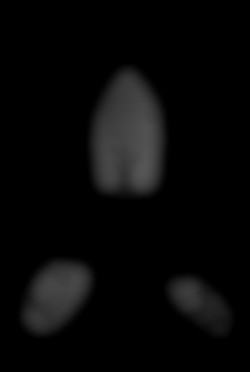 Member Image