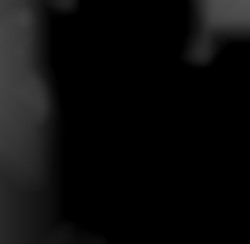 Member Image