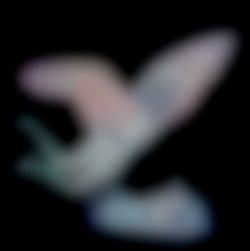 Member Image