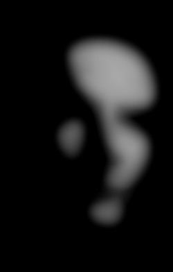 Member Image