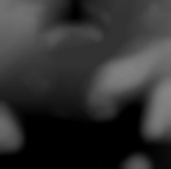 Member Image
