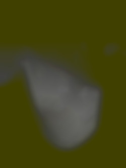 Member Image