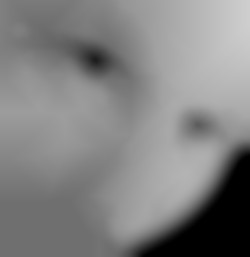 Member Image