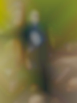 Member Image