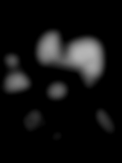 Member Image