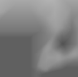 Member Image