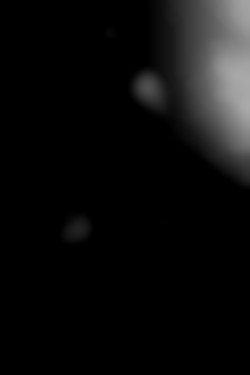 Member Image