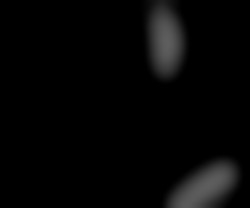 Member Image