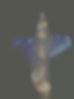 Member Image
