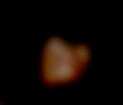 Member Image