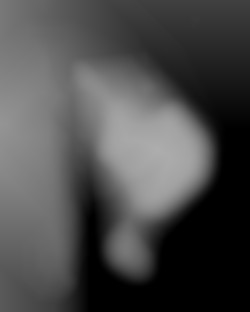Member Image