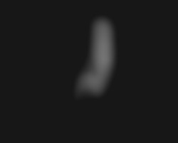 Member Image