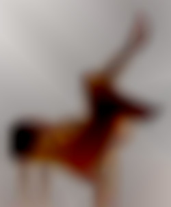 Member Image