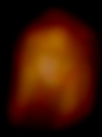 Member Image