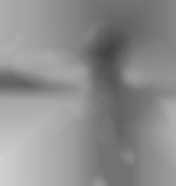 Member Image