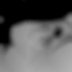 Member Image