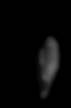 Member Image