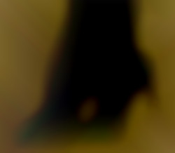 Member Image