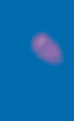 Member Image