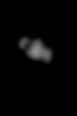 Member Image