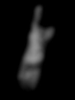 Member Image