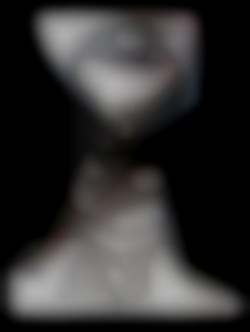 Member Image