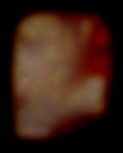 Member Image