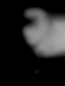 Member Image