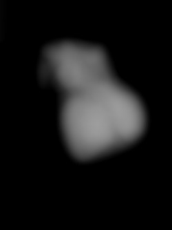 Member Image