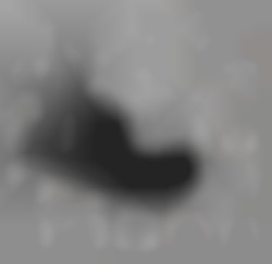 Member Image