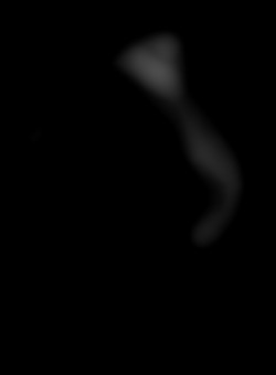 Member Image