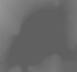 Member Image