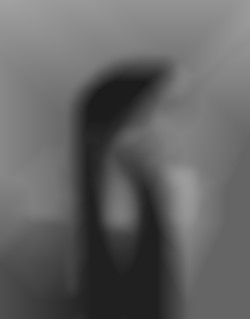 Member Image