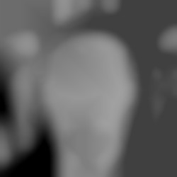 Member Image