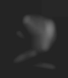 Member Image