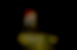 Member Image