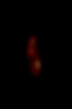 Member Image