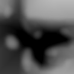 Member Image