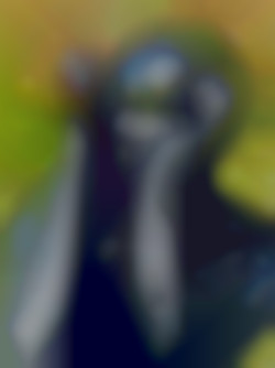 Member Image
